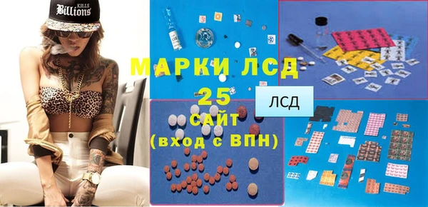 дурь Краснослободск