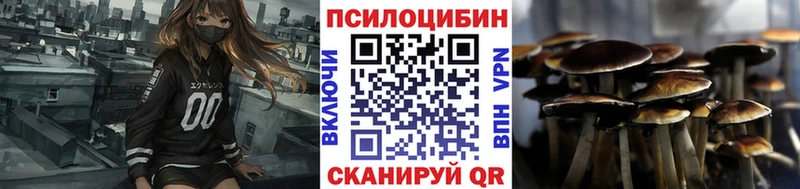 blacksprut зеркало  Мегион  Галлюциногенные грибы Psilocybe 