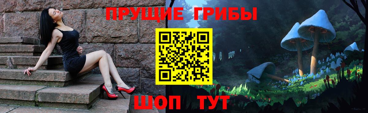 Псилоцибиновые грибы Psilocybe  купить наркоту  Мегион  Галлюциногенные грибы Psilocybine cubensis 